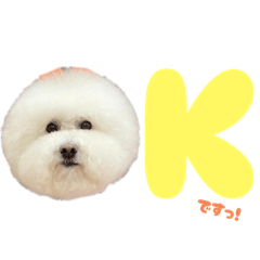 Emily_20251121011043