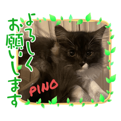 asuka_20251120185833