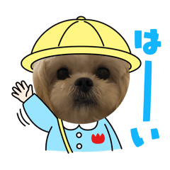 Betty_20251120230733