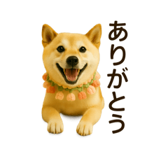 stamps of dogs Momo,Poo and Qoo