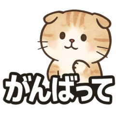 Cute Scotch Fold Cat Daily Sticker