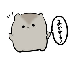 kahopi_20251121132008