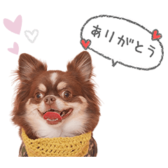 うちのコStamp　No:7422