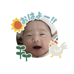 なまはたわまはた