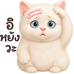 ❤️แมวขาว กิ๊บชมพู❤️(เว้าอีสาน)