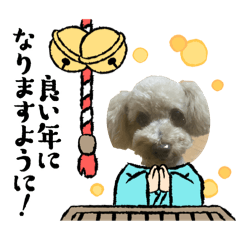 lemon_20251121100025