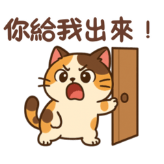 這隻花貓很有事！