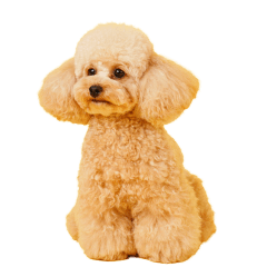 シリちゃんの可愛いスタンプです❕