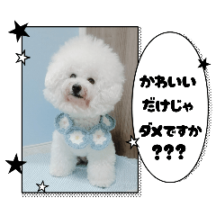 Mint mama_20251121115605