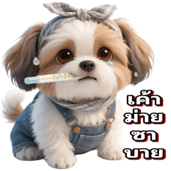 Big Rakcang cxm pwn 000