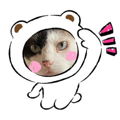 Belsjajejwj_20251121091045