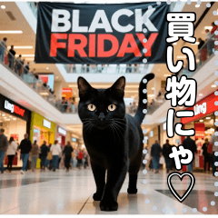 BlackFriday♡黒ねこセール