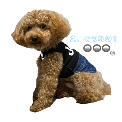 Sunny_20251121195026