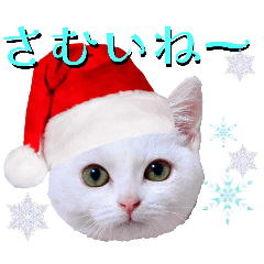 冬も短足だっていいじゃん！