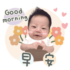 葉家の小公主苡安