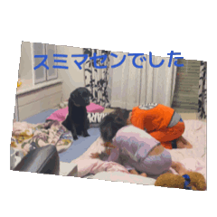 kaori_20251121202158