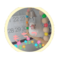 natsumi_20251122000955