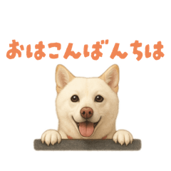 KARIN_20251121183808