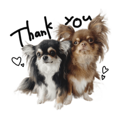 haruka_20251121183559