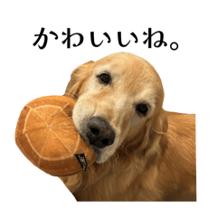 Marina_20251121203619