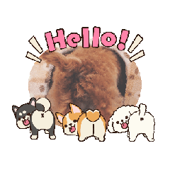 matsu_20251122072416