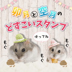 hamster_uzuki-kuzuki_dosukoi-stamp