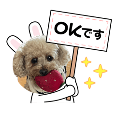 lemon_20251121170730