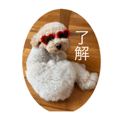 Chihiro_20251121202536