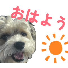 Wakana_20251121215820