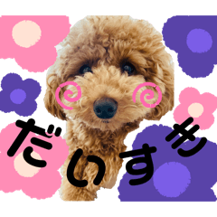 cocco_20251121215037