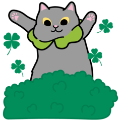Wish You Lucky!