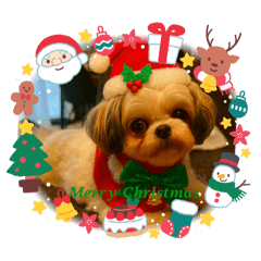 Wakana_20251121213314