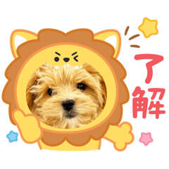 vivi_20251121233033