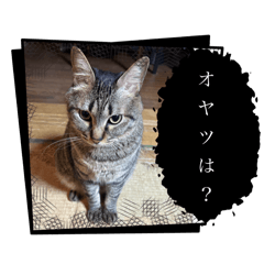 Kaori_20251121223439