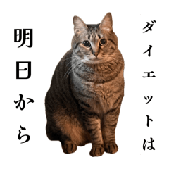 Kaori_20251122011418