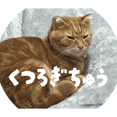 Nomame_20251121210755