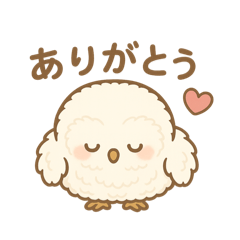 SAKURA_20251122090039