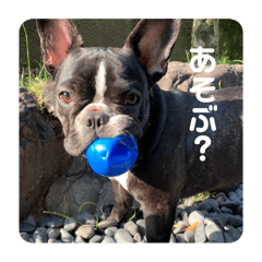 もんちゃんによるもんちゃん好きの為の 1