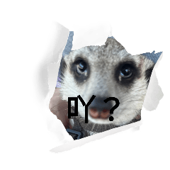 動物星球（貓貓狗狗）