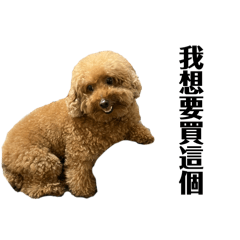 小露比不想上班