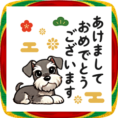 New Year's Schnauzer