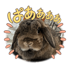 yamataku_20251122001920