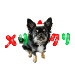 akane_20251122004027