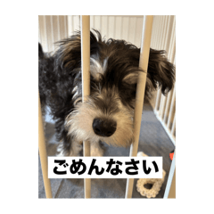 yamada_20251122093914