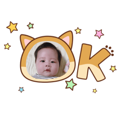 雞蛋糕貼圖大展