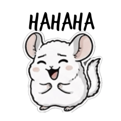 我是可愛的絨鼠