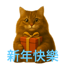 黃棕長毛虎斑的日常2