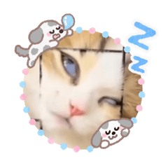 emily_20251122134741