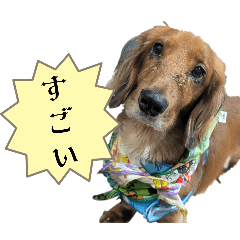 achico_20251122140646