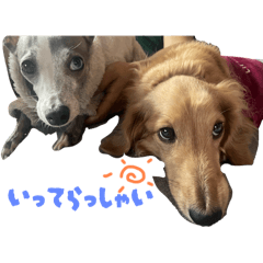 Nonchan_20251122150017